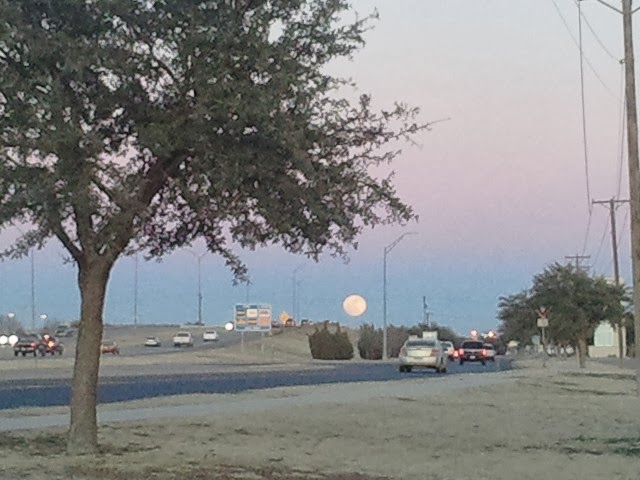 Touch the Moon! Cell photo by Trisha