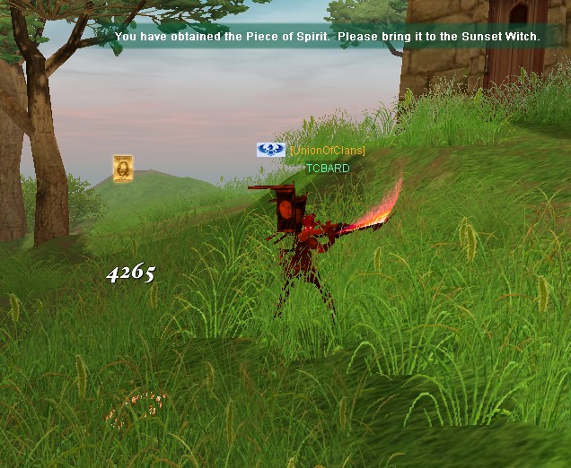 Silkroad : QUEST TITULO KNIGHT EU LV 95