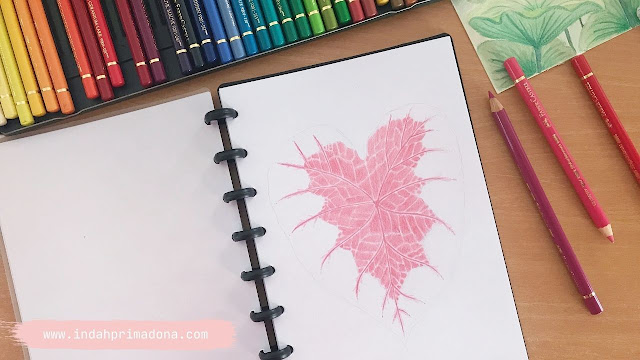 daun keladi, tanaman hias, menggambar daun keladi, menggambar tanaman hias, menggambar dengan pensil warna, color pencil, pensil warna, pemula