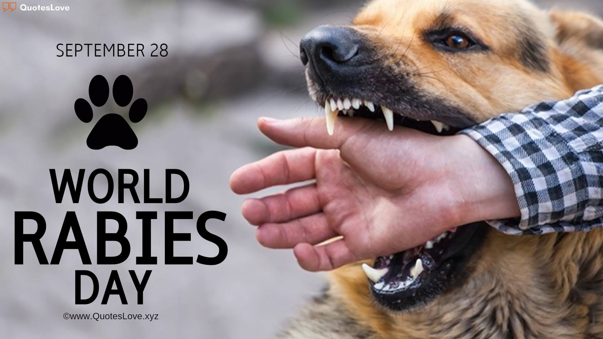World Rabies Day Quotes, Sayings, Slogans, Wishes, Greetings, Theme, Poster, Pictures, Images, Photos