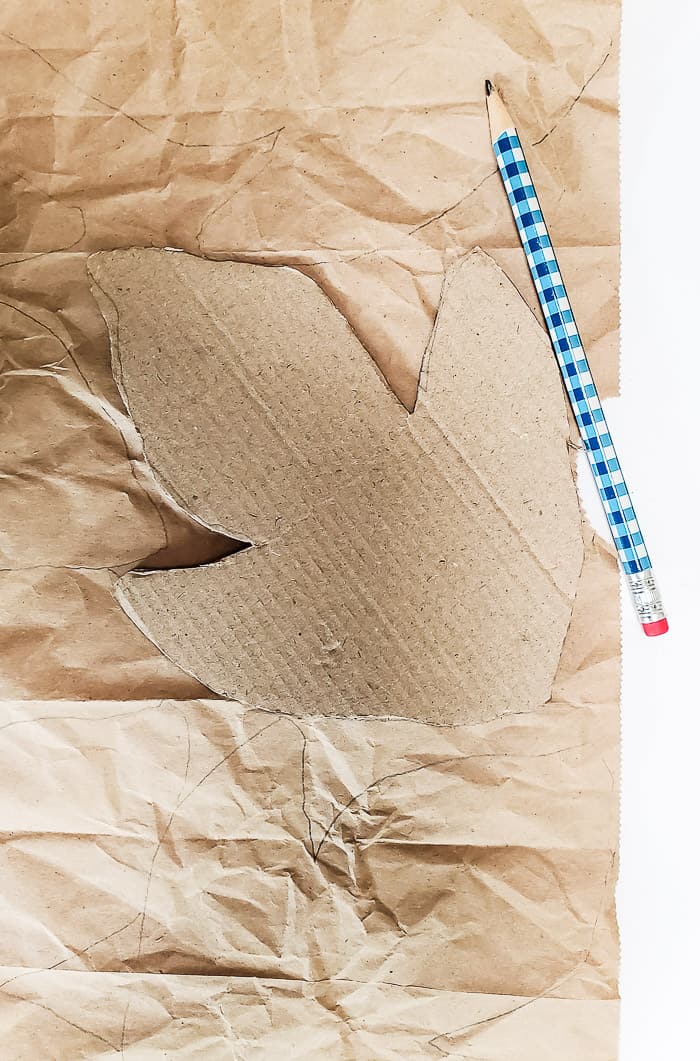 Do you think thought experiment is still useful in science in the present time image