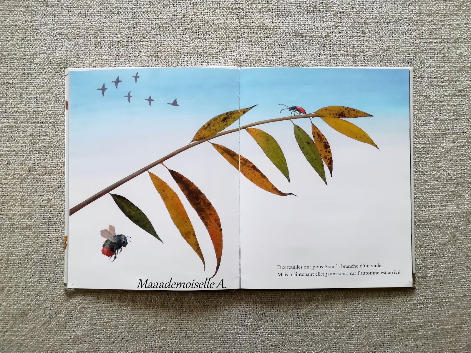 Maaademoiselle A.  Exploitation d'album  Dix feuilles volantes