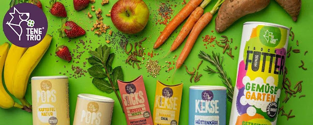Insekten Protein nicht nur für Allergiker Hunde