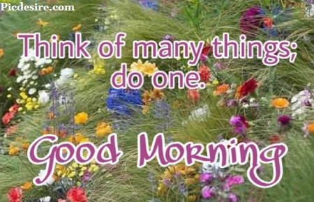 50 Beautiful Good Morning Quotes and Saying 50 Beautiful Good Morning Quotes and Saying