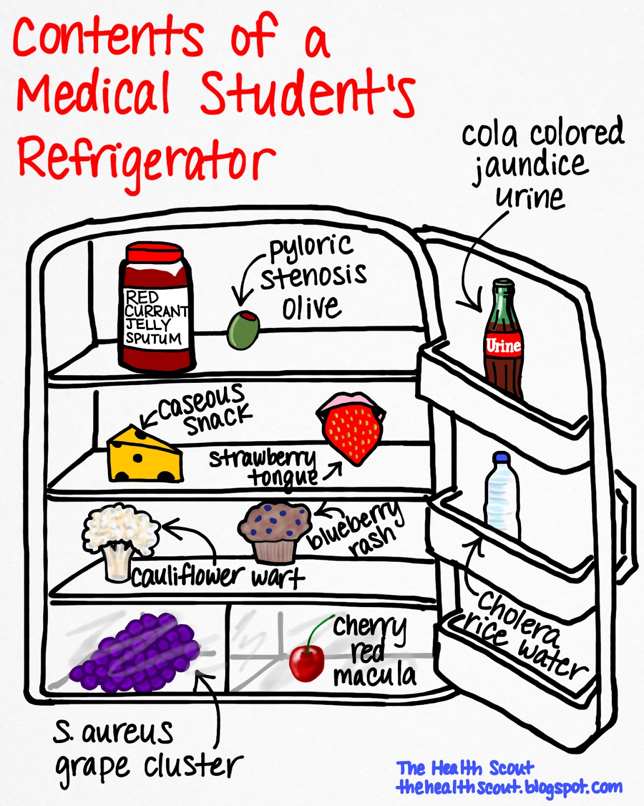 The Health Scout Med Students & Weird Food Analogies