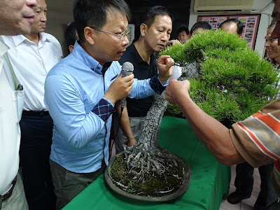 Yang Hsiu Bonsai 楊修
