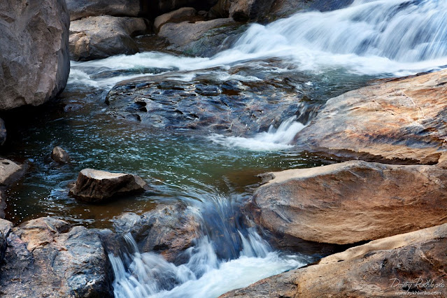 Place-to-visit-in-Munnar