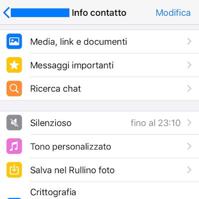 WhatsApp Messenger Info Contatto