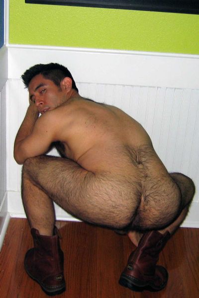 Hairy Ass Fetish