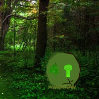 BigEscapeGames-BEG Fairy Escape from Fantasy Forest