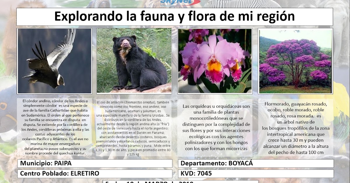 Biblioteca Cultural de Mi Municipio FLORA, FAUNA E HIDROGRAFÍA