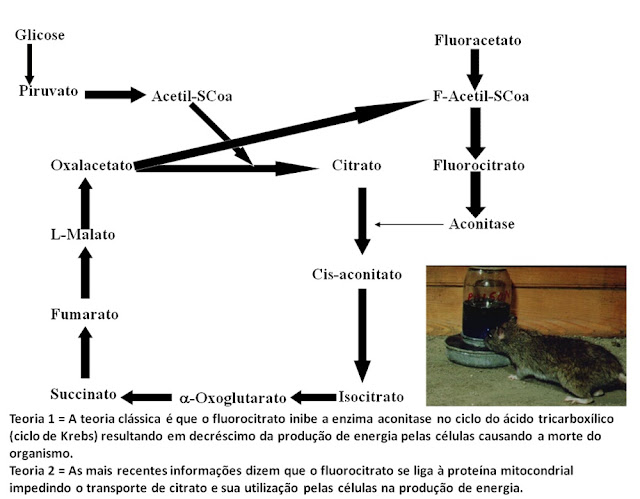 1 - Pragas e Eventos