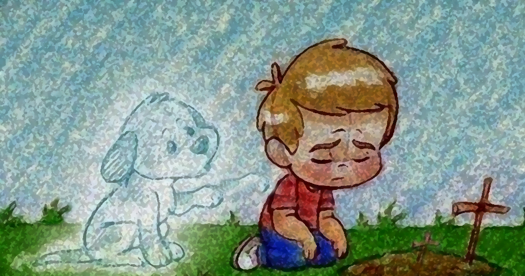 Arani En El Salvador Duelo Por Muerte De Un Peludito