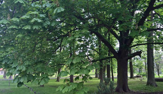 Landschaft Landschaftsmalerei Landschaftsfotografie Kunst Du