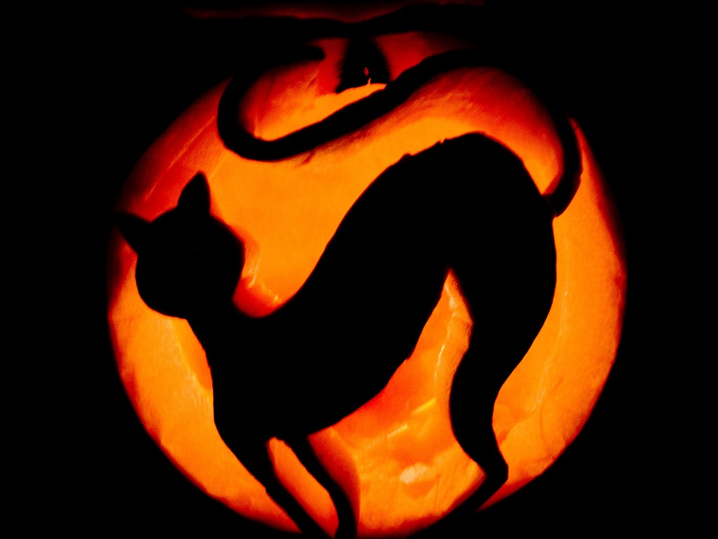 paper bag & string: Halloween Cat Carved Pumpkins