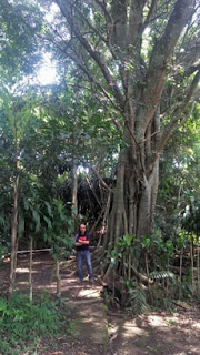 Sumber Biru, Dusun Biru, Singosari : Wisata Spiritual Yang Jarang Diketahui Para Pelaku Sumber Biru, Batarubuh, Botorubuh, Mbiru, Singosari, Malang, Sumber Nagan, Sumberawan