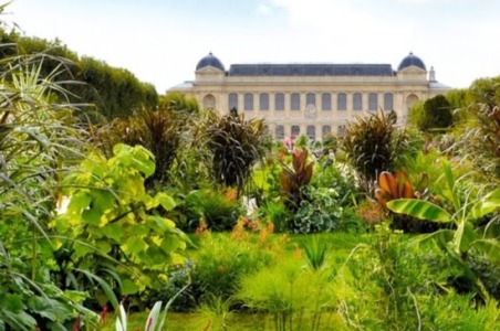 Jardin des Plantes, Paris