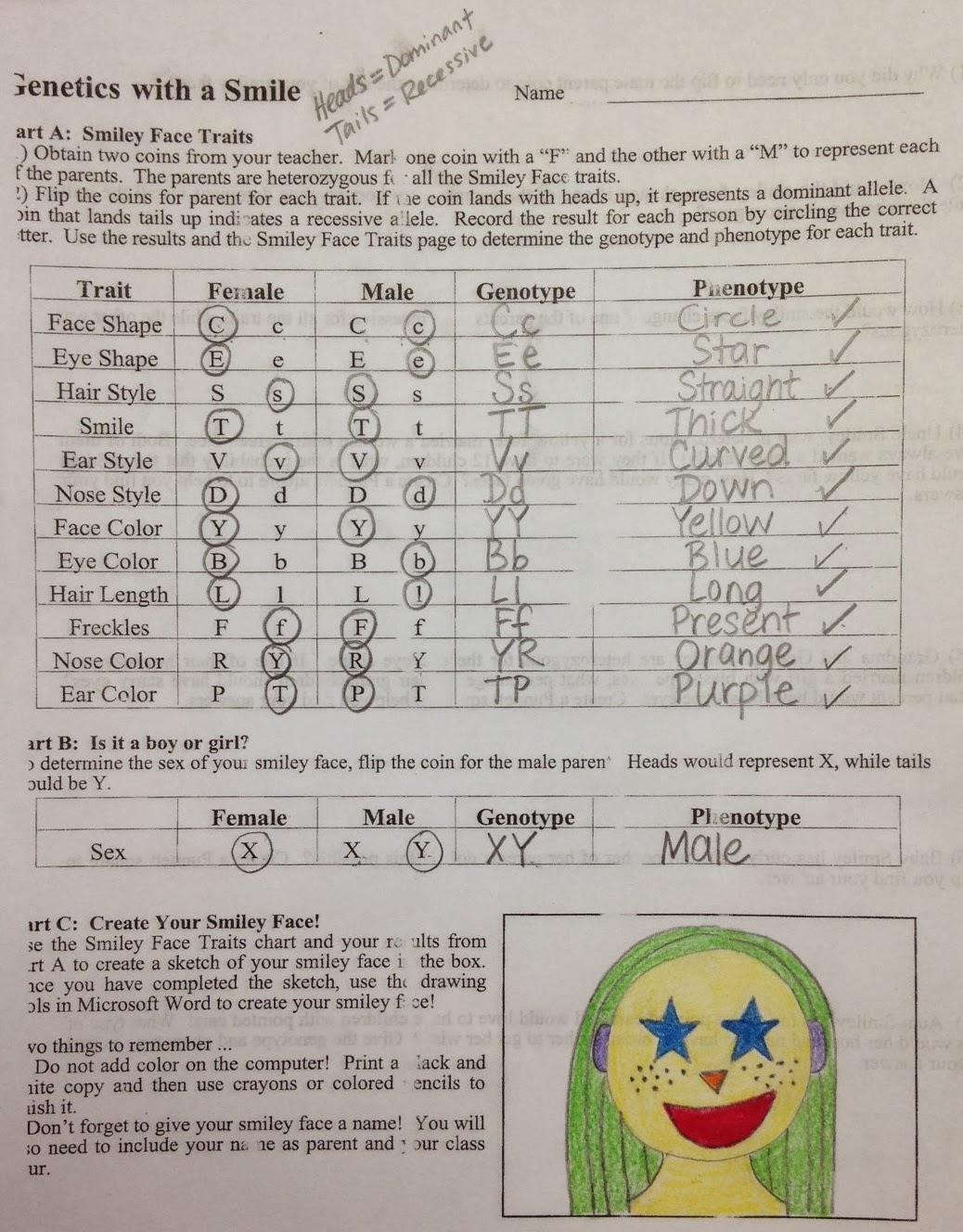 integumentary system worksheet key