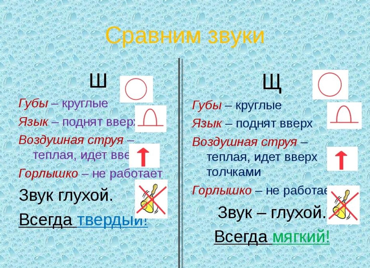 звук щ автоматизация речевой материал. дифференциация ш щ для дошкольников. дифференциация ш-щ речевой материал. дифференциация ш щ. дифференциация ш-щ на письме упражнения.