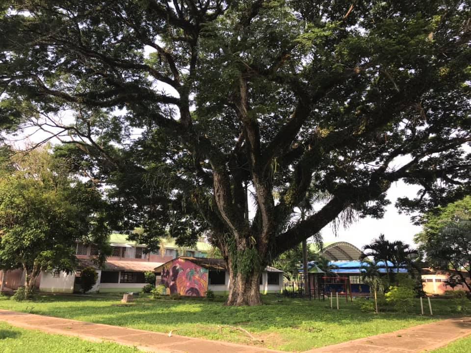 I.E San Isidro de Veracruz