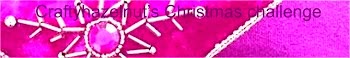 Craftyhazelnut's Christmas Challenge