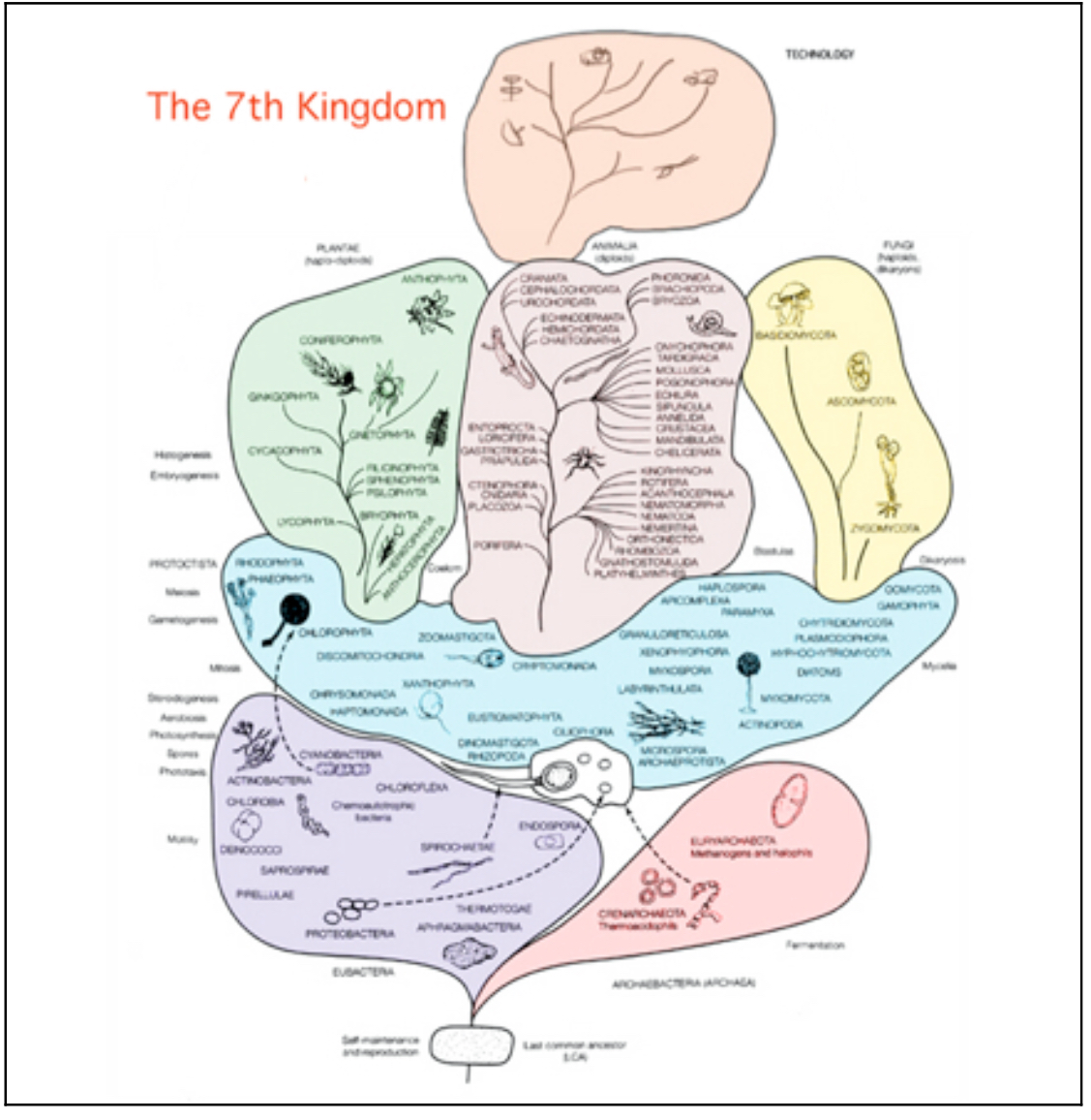 A Job Worth Doing Seventh Kingdom The Technium
