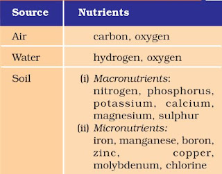 assignment on improvement in food resources class 9