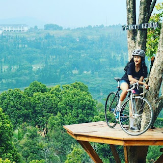 Rute Dan Lokasi Bukit Geulis Bogor, Kini Ada Rumah Pohonya