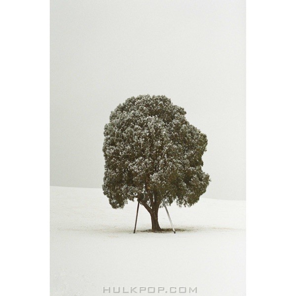 Won Jong Hyuk – I told you I loved you – Single