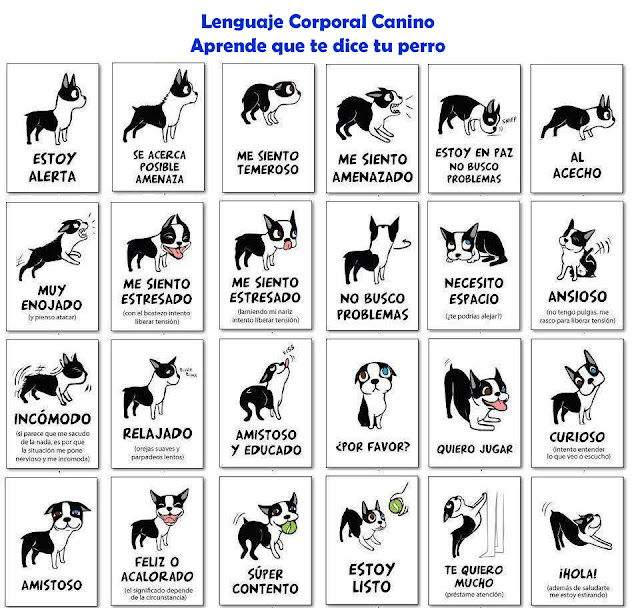http://www.scoobymascotes.com/2017/06/lenguaje-corporal-canino.html