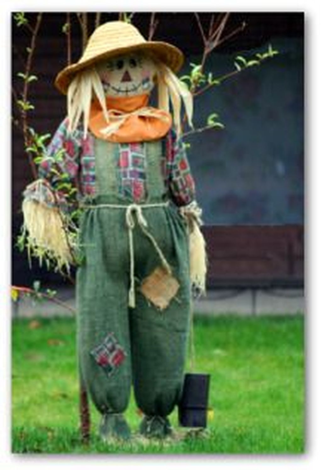 20+ Fabulous Garden Scarecrow Ideas