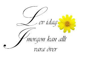 MITT MOTTO ÄR: