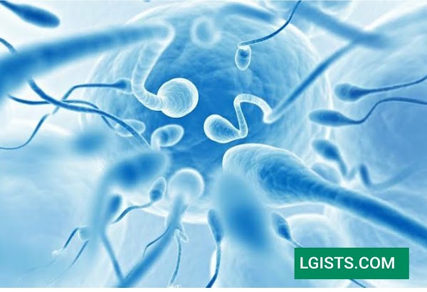 What are sperm count online? 