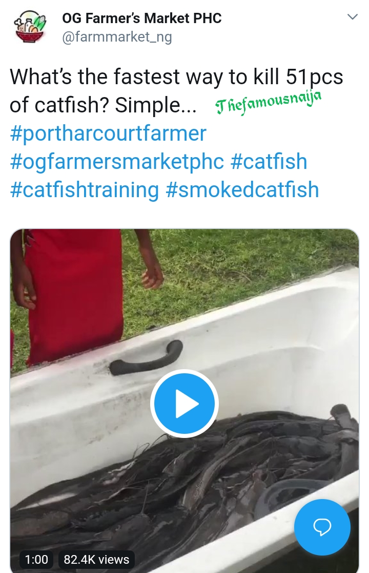 He poured salt on the fishes and they began to struggle until they