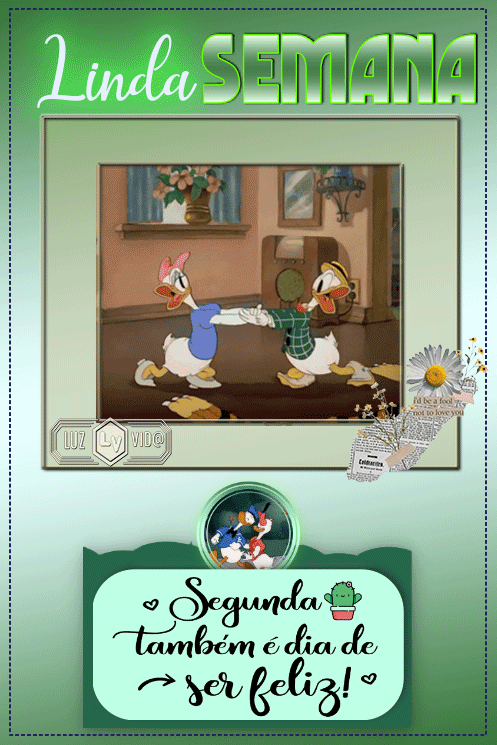 NOVO212-%2528MB%2529maryluz.gif