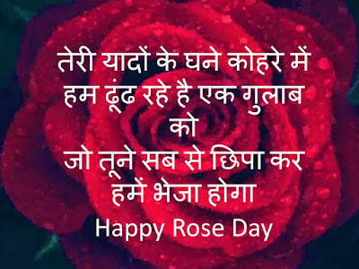 happy rose day with rose colour guide