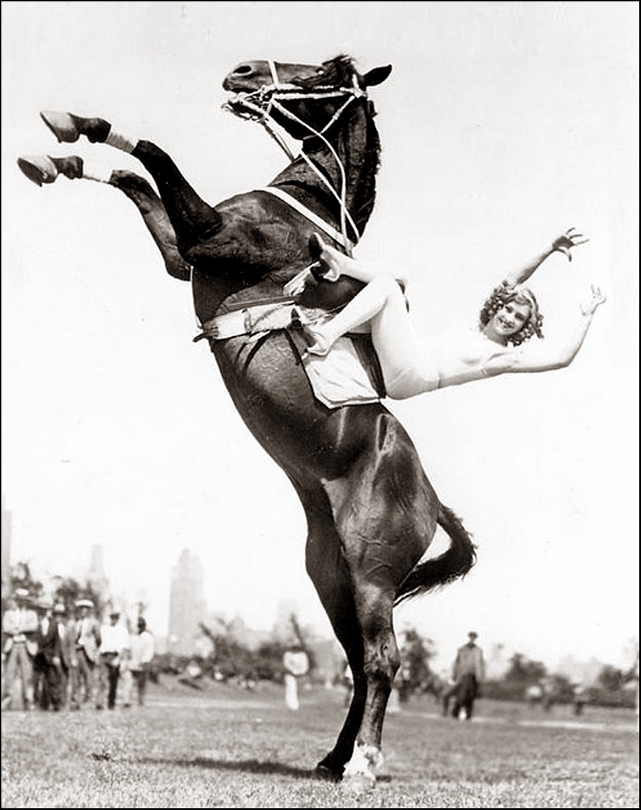 Buckles Blog HIND LEG 8