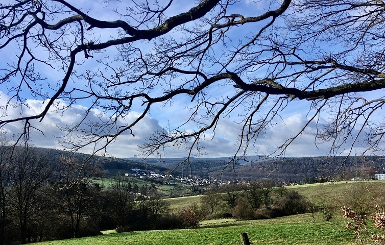 Winterlinge und Schneeglöckchen Vorfrühling