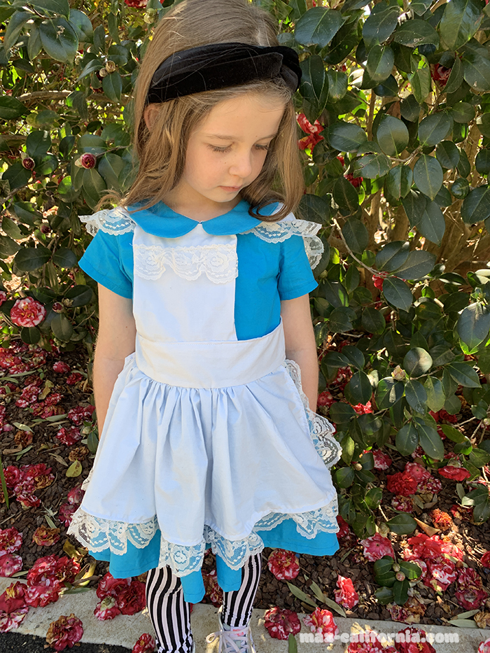 DIY Alice in Wonderland costume   • www.max-california.com