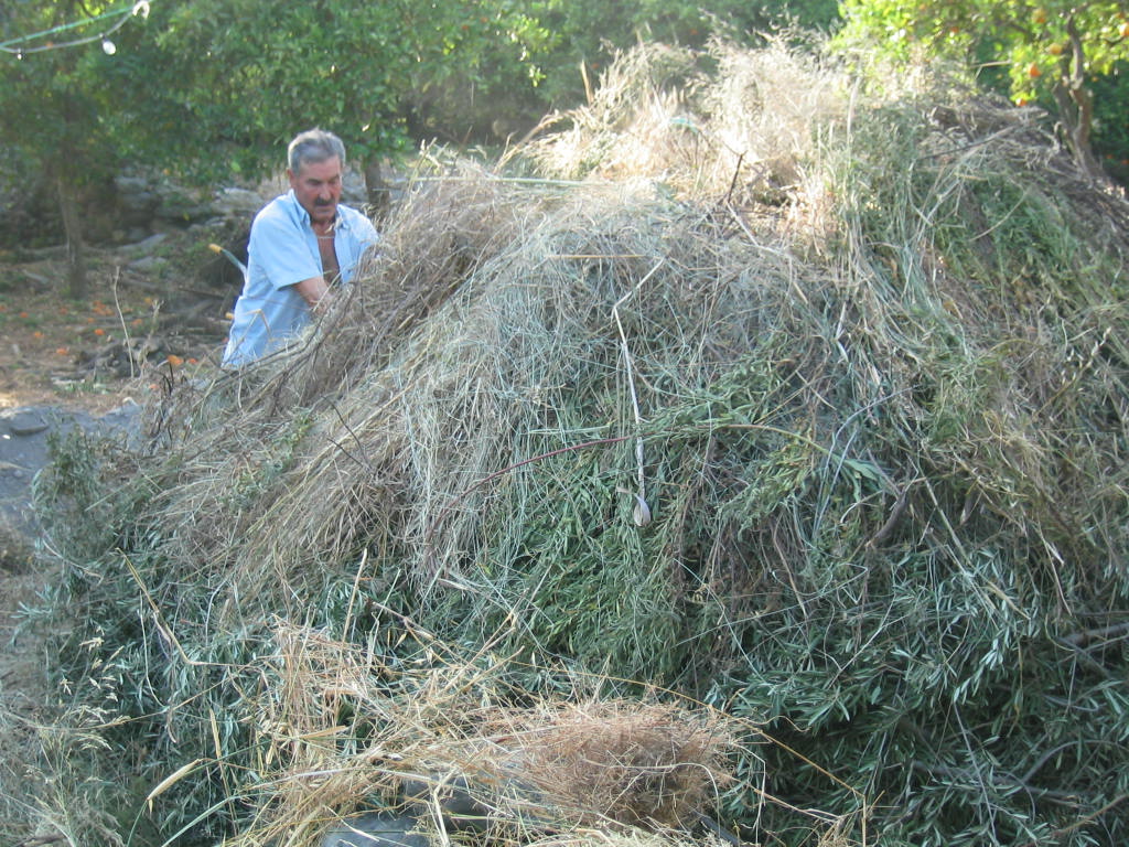 Fuente de vida: Miguel Palma: Haciendo carbón por Miguelito de Saleres