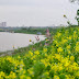 DỐI LÒNG