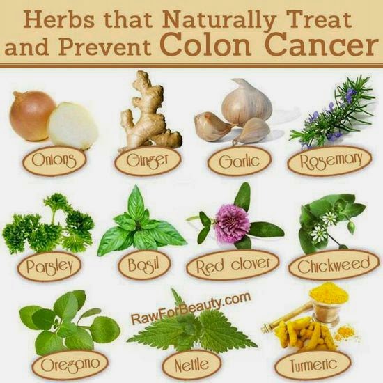 Health & nutrition tips Herbs that naturally treat and prevent colon