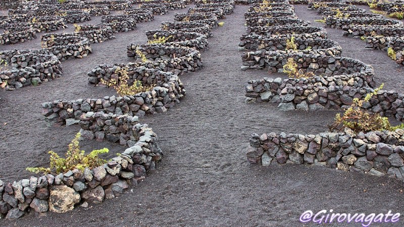 lanzarote geria