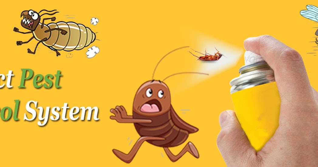 Ideal pest control in Pune