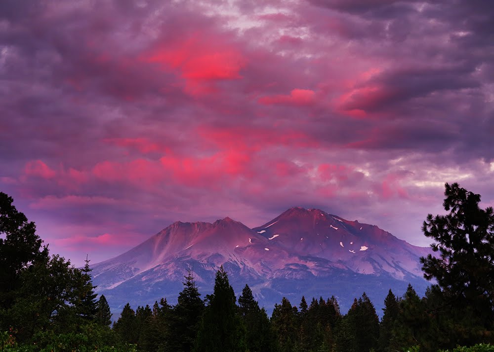 Mt. Shasta