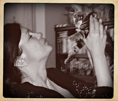 writer with kitten