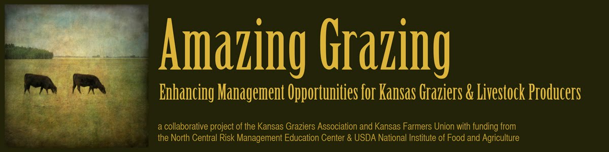 Kansas Graziers