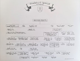 Drzewo genealogiczne Działyńskich h. Ogończyk - linia wielkopolska