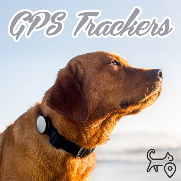 How Do GPS Trackers Work - Tested in Australia