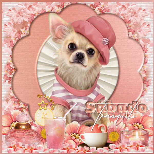 Novo60-%2528MB%2529maryluz%2B01.gif